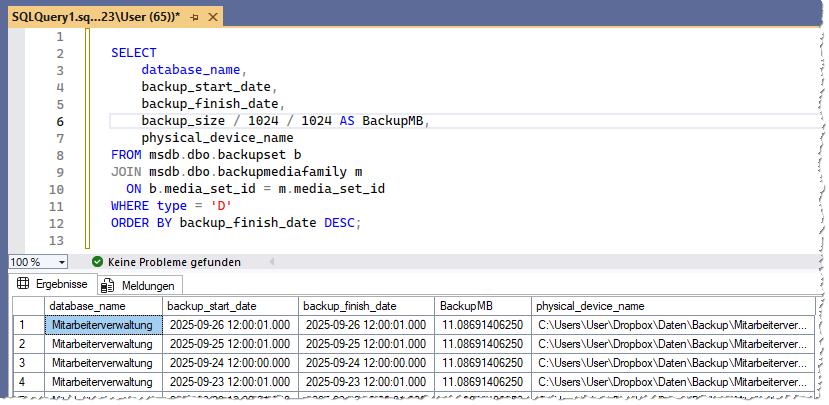 Der frisch eingef&uuml;gte Schnipsel mit dem gew&uuml;nschten Abfrageergebnis.