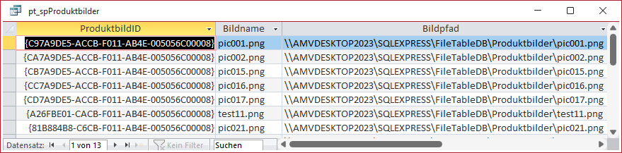 PassThrough-Abfrage, die alle Daten der gespeicherten Prozedur spProduktbilder liefert